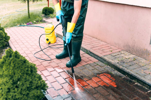 Best Animal Enclosure Cleaning  in Terrell, TX